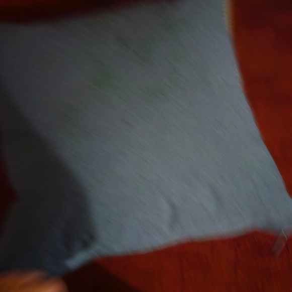 Accents | 2 Pillows By Global Views Embrace Internationally  2 Pillows By Global Views Embrace internationally inspired design